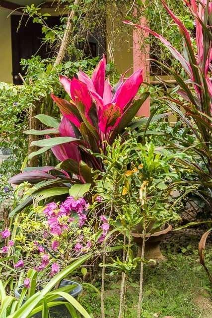 Ban Sabai Sabai Guest House Kanchanaburi Extérieur photo