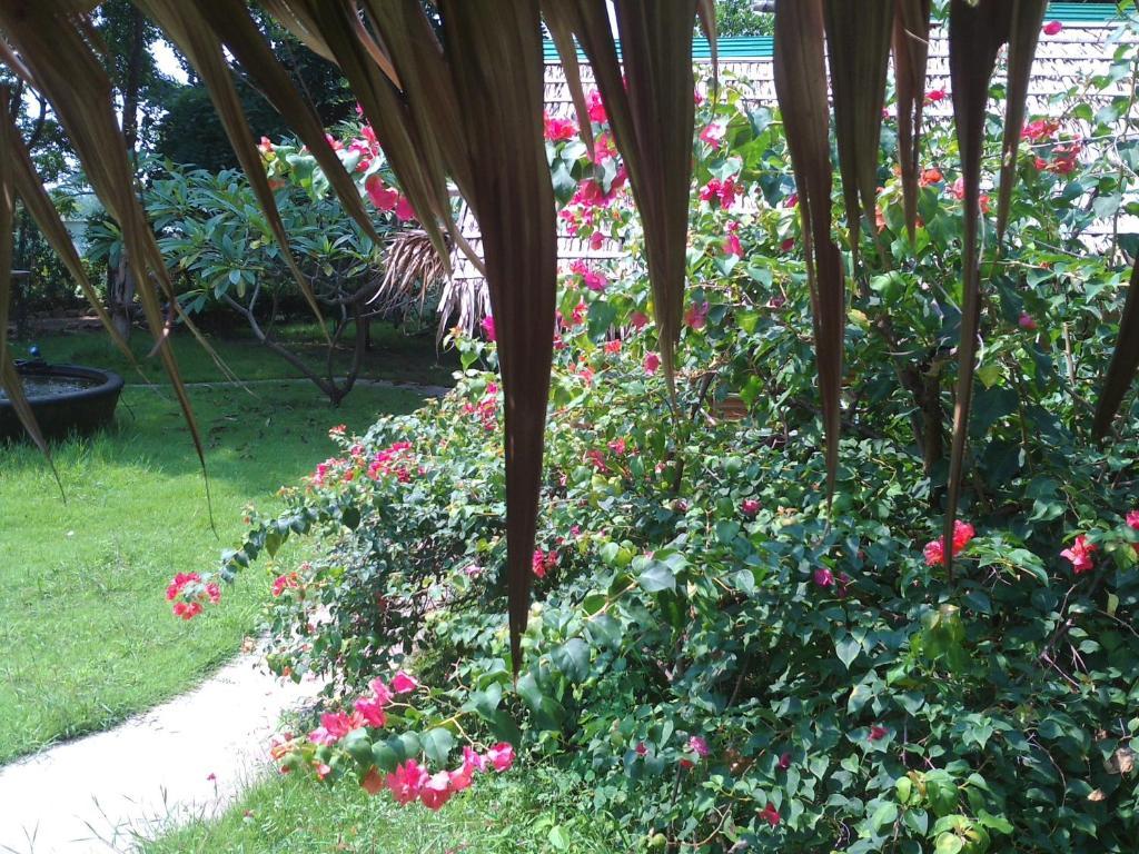Ban Sabai Sabai Guest House Kanchanaburi Extérieur photo